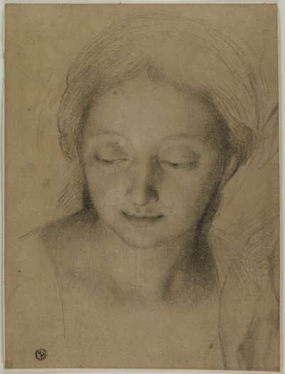 Kopf einer Frau von Antonio Cavallucci