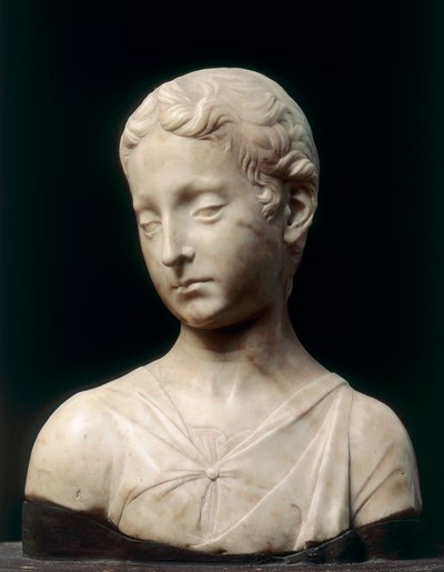 Büste eines jungen Jungen (Marmor) von Antonio Rossellino