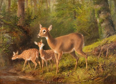 Eine Hirschkuh und zwei Kitze von Arthur Fitzwilliam Tait