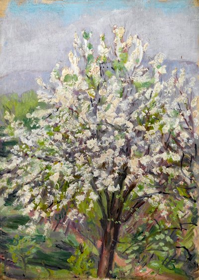 Mandelblüte von Arthur Haythorne Studd