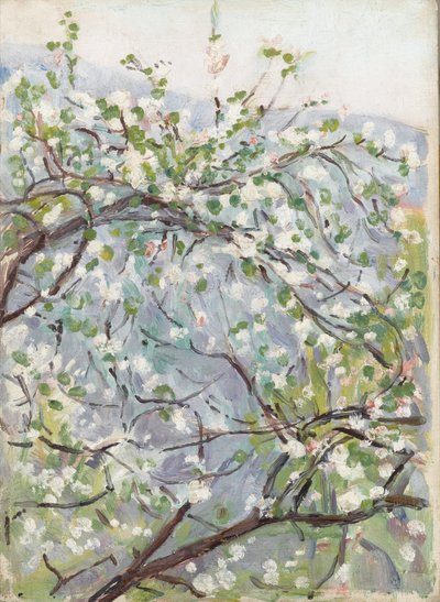 Blüte, um 1900 von Arthur Haythorne Studd