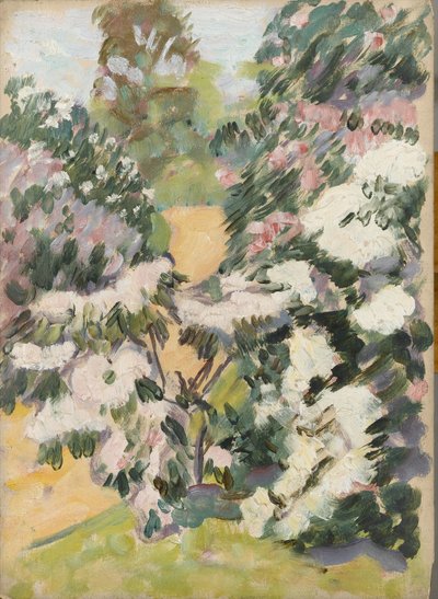Blüte, um 1900 von Arthur Haythorne Studd
