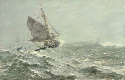 Der weiße Sturm von Arthur John Briscoe