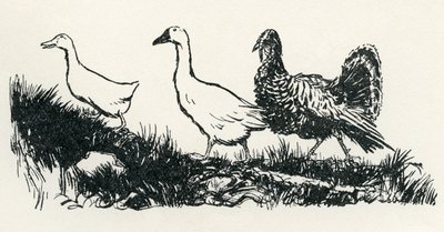 Henny-Penny von Arthur Rackham