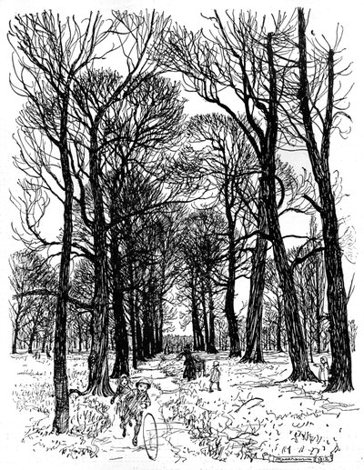 Peter Pan in den Kensington Gardens von Arthur Rackham