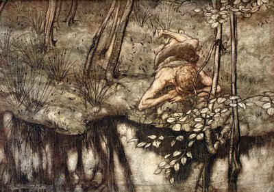 Siegfried sieht sich im Strom von Arthur Rackham