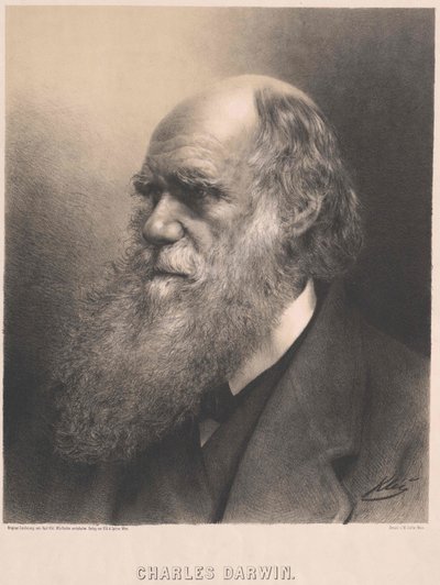 Charles Darwin von Artist Unknown