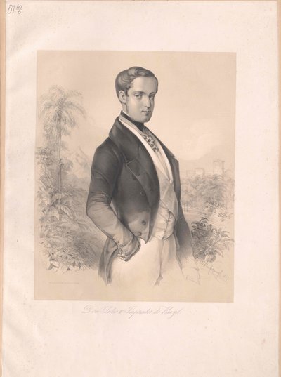 Kaiser von Brasilien Peter II. von Artist Unknown