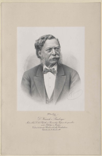 Heinrich von Bamberg von Artist Unknown