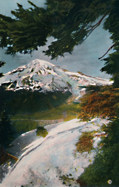 Mount Tacoma vom Eagle Peak, Washington, um 1916 von Asahel Curtis