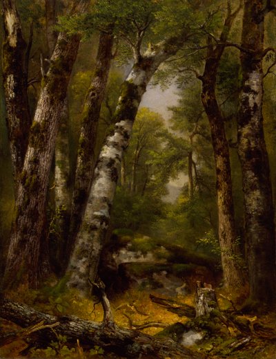 Waldtal von Asher B. Durand
