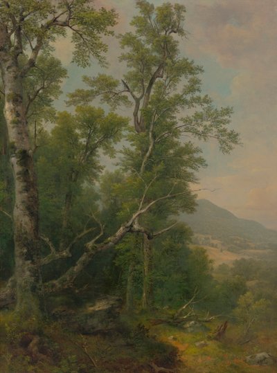 Studie von Bäumen von Asher Brown Durand