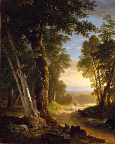 Die Buchen, 1845 von Asher Brown Durand
