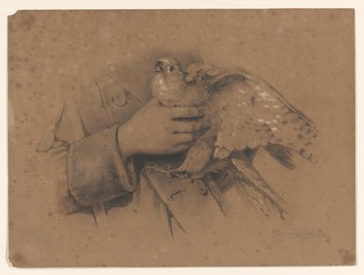 Turmfalke in Händen gefangen von August Allebe