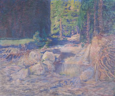 Ruhender Wildbach von August Roth