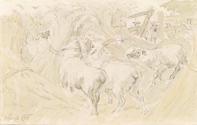 Schafe im Getreide von August Spiess