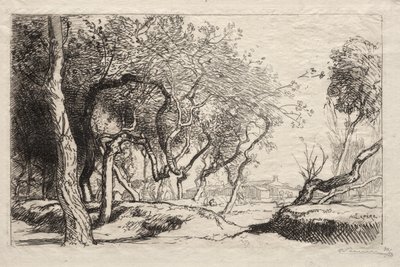 Der verdrehte Baum, 1915 von Auguste Louis Lepère