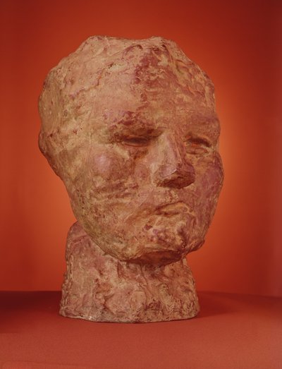 Kopf der Iris, 1890 (Bronze) von Auguste Rodin