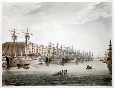 West India Docks, London von Augustus Charles Pugin, Thomas Rowlandson