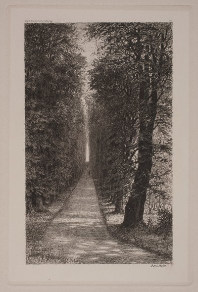 Allee der Seufzer von Axel Holm