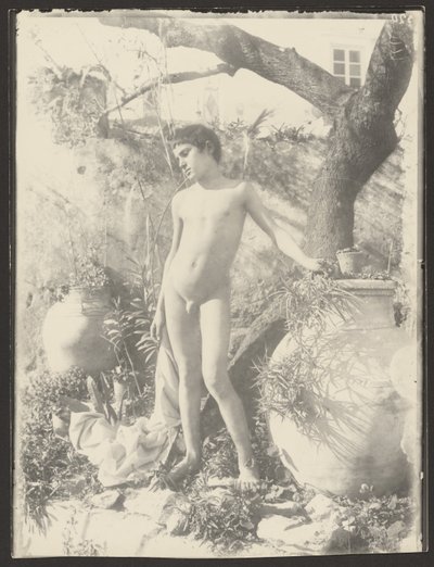 Nackter Jüngling im Garten von Baron Wilhelm von Gloeden