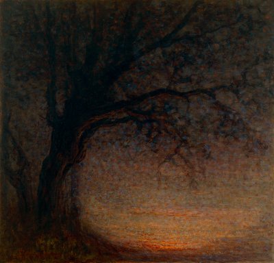 Toter Baum von Battista Constantini
