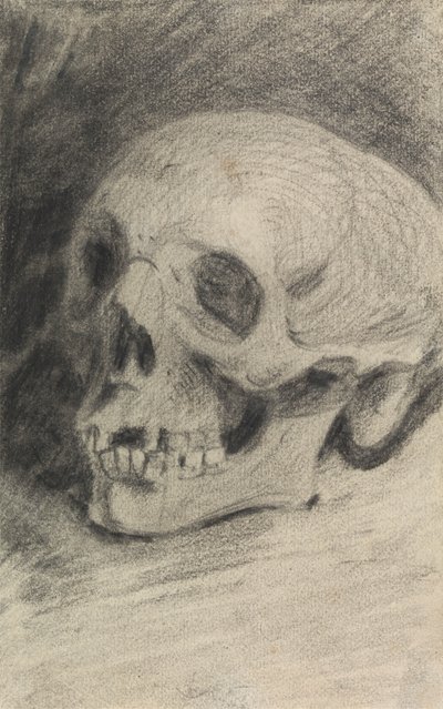 Studie eines Schädels von Benjamin Robert Haydon