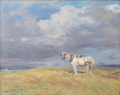 Weißes Pferd, ca. 1910 von Beppe Ciardi