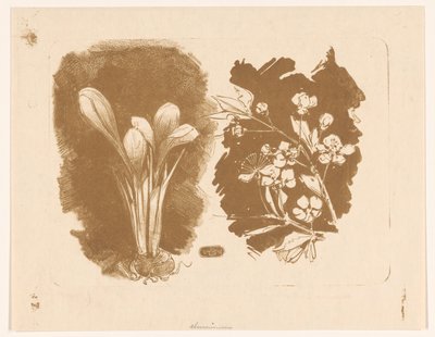 Krokusse und ein Zweig mit Blüten von Bernard Willem Wierink