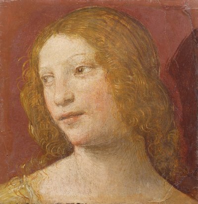 Kopf einer jungen Frau von Bernardino Luini