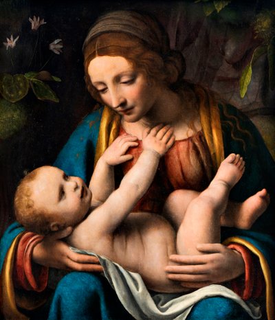 Madonna mit Kind, 1515-1523 von Bernardino Luini