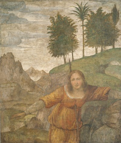Procris von Cephalus