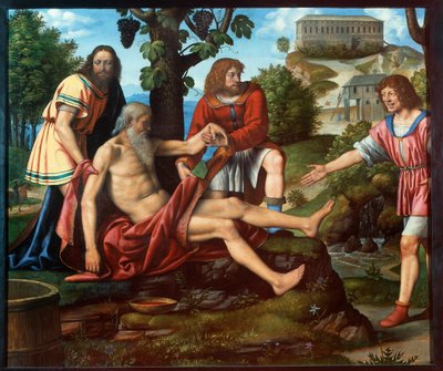 Die Verachtung von Cam von Bernardino Luini