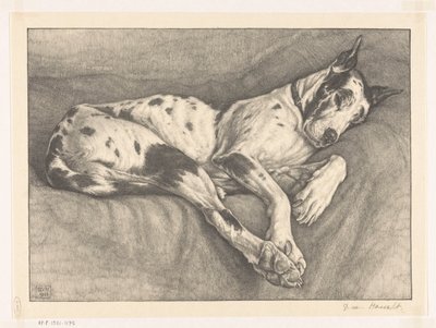 Schlafender Hund von Bertha van Hasselt (signed by artist)