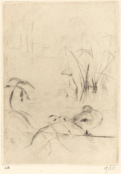 Enten ruhen am Ufer von Berthe Morisot