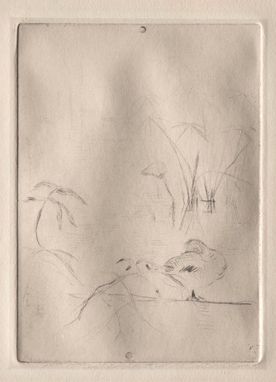 Die Ente von Berthe Morisot