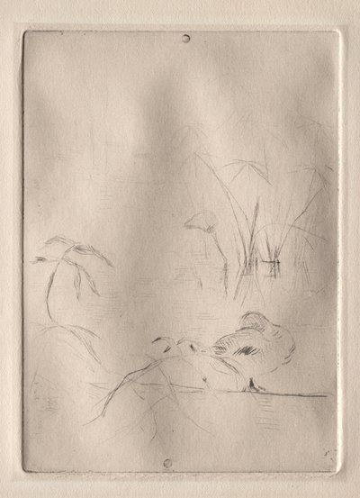 Die Ente von Berthe Morisot