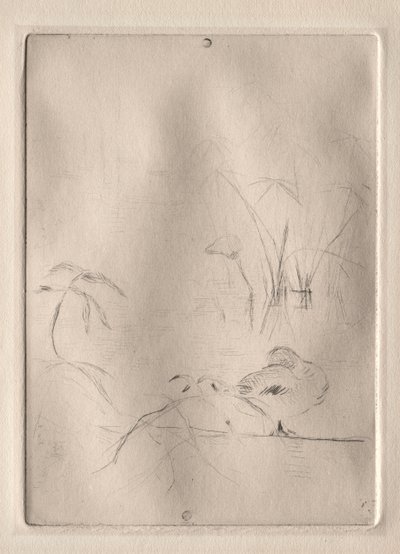 Die Ente, 1888-90 von Berthe Morisot