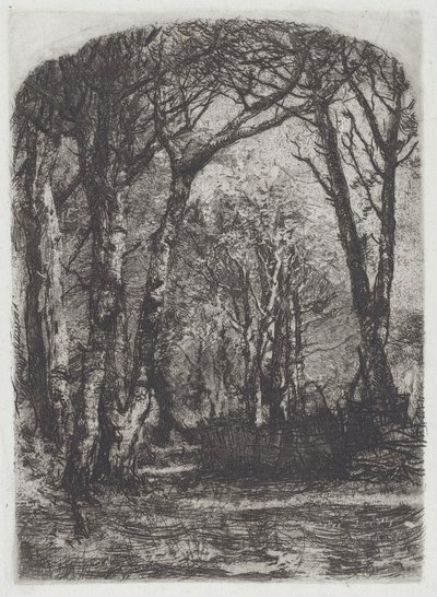 Wald [Bosco], ca. 1895 von Bianchi Mose