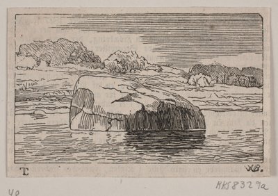 Sortesteen von Biegant