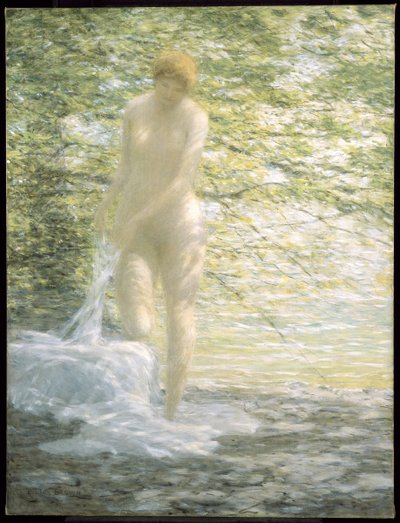 Schatten sieben von Bolton Coit Brown