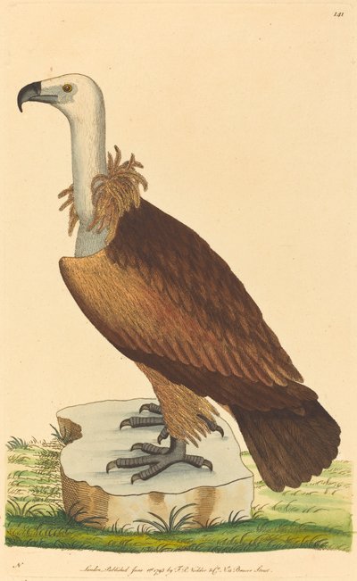 Der Alpengeier von British 18th Century
