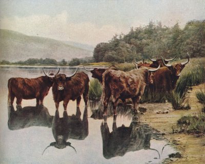 Schottland, um 1930er von C. Reid