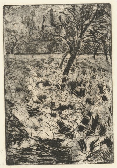 Das Rübenfeld von Camille Jacob Pissarro