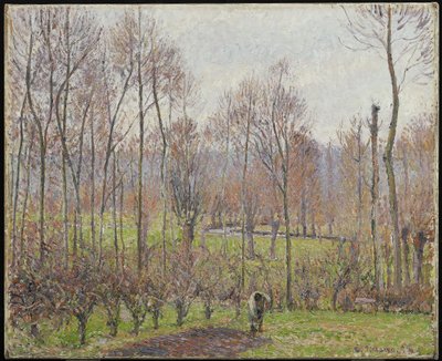 Pappeln, graues Wetter, Eragny von Camille Jacob Pissarro