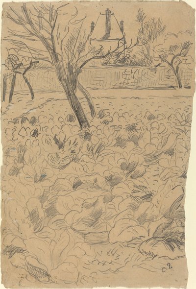 Das Kohlfeld von Camille Pissarro