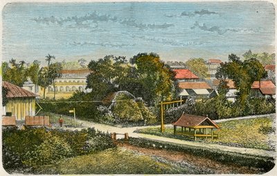 Tonga, ca. 1885 von Canedi Barberis
