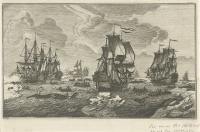 Walfänger von Carel van der Hem