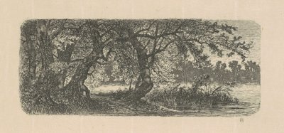 Wasserulmen von Carl C. Brenner