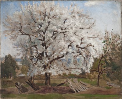 Apfelbaum in Blüte von Carl Fredrik Hill